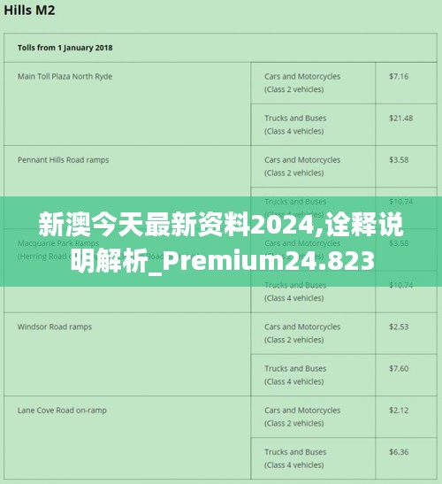 2024新澳正版免费资料的特点,策略规划_远程版43.408