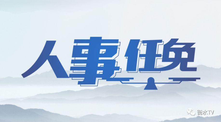 衡水市人事任免最新公告通知
