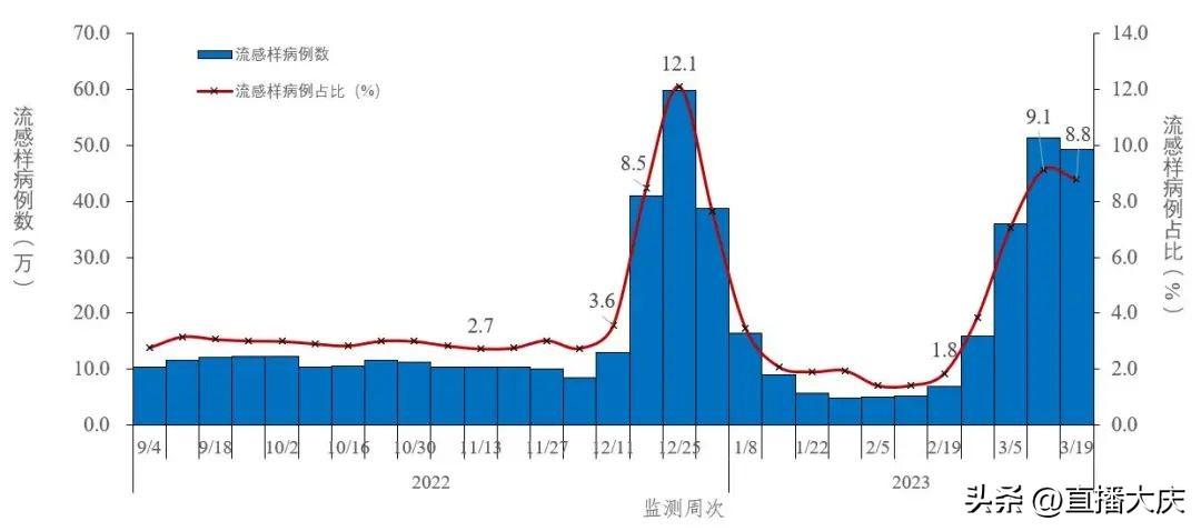 最新流感情况通报报告